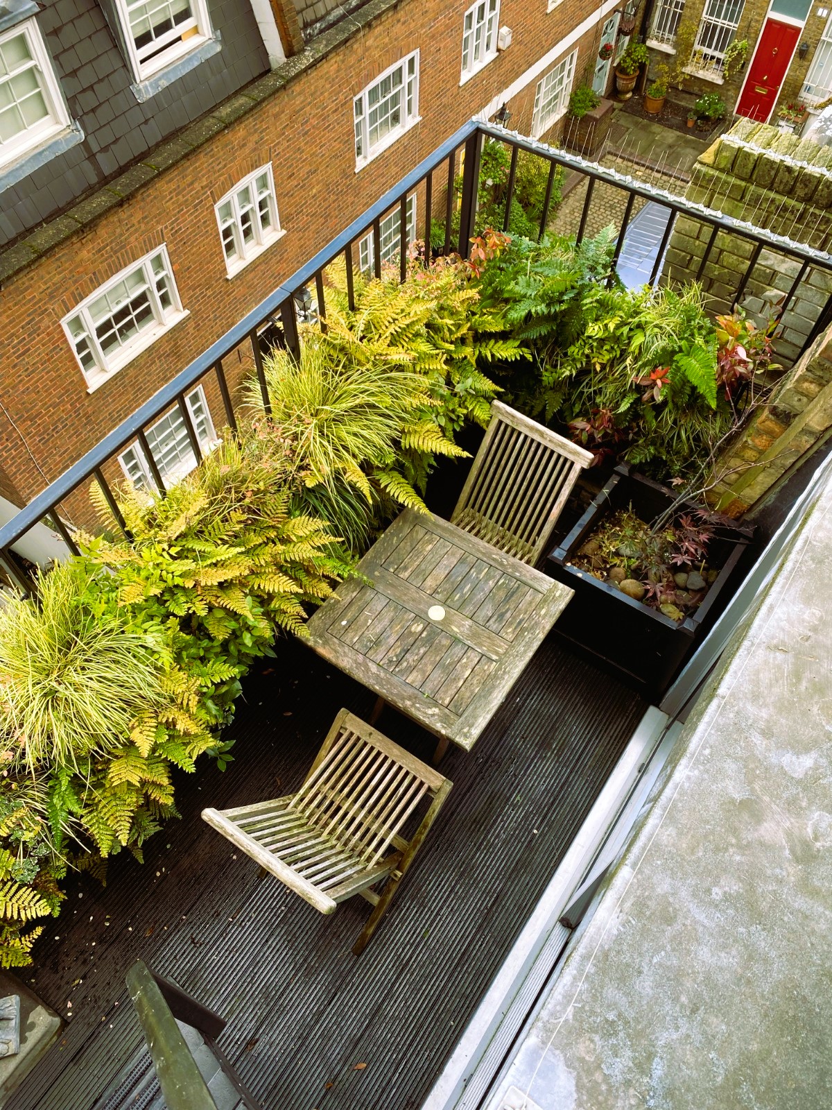 balcony living walls give a tiny outdoor space a feeling of being a green oasis