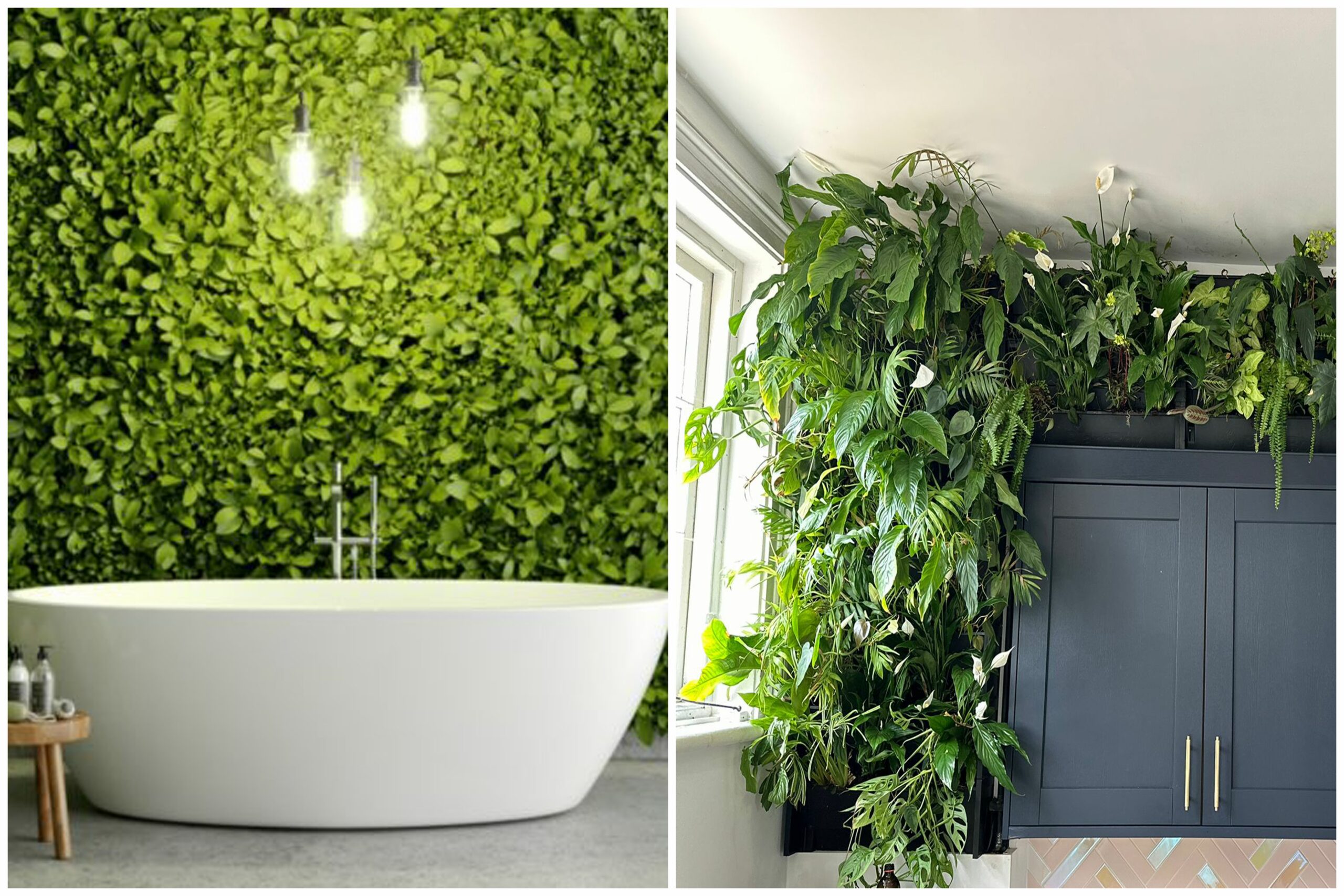 kitchen and bathroom living walls work brilliantly as part of an interior design scheme and also bring benefits for wellbeing and health